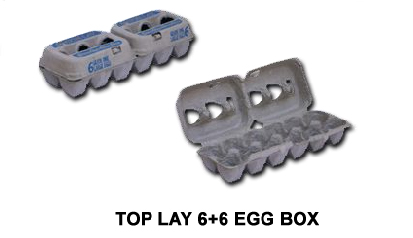 egg boxes